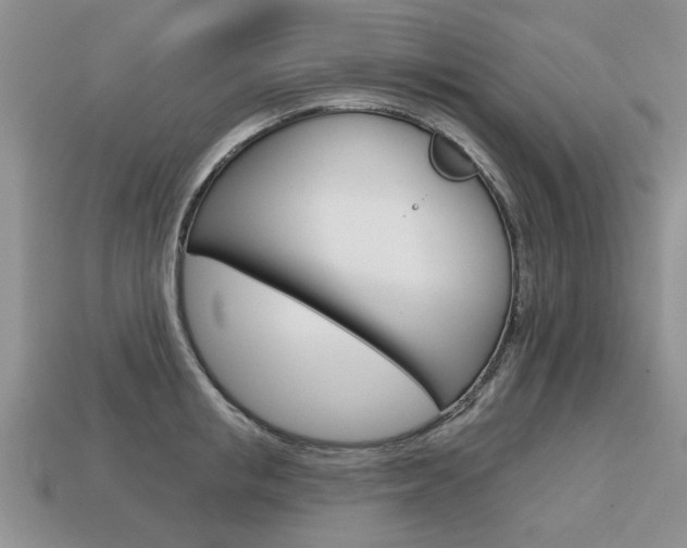 X0000113860853200909241024