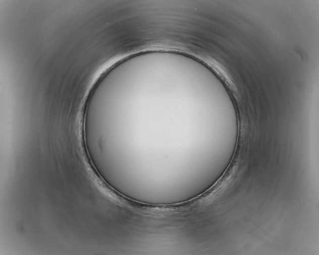 X0000113860854200909241024