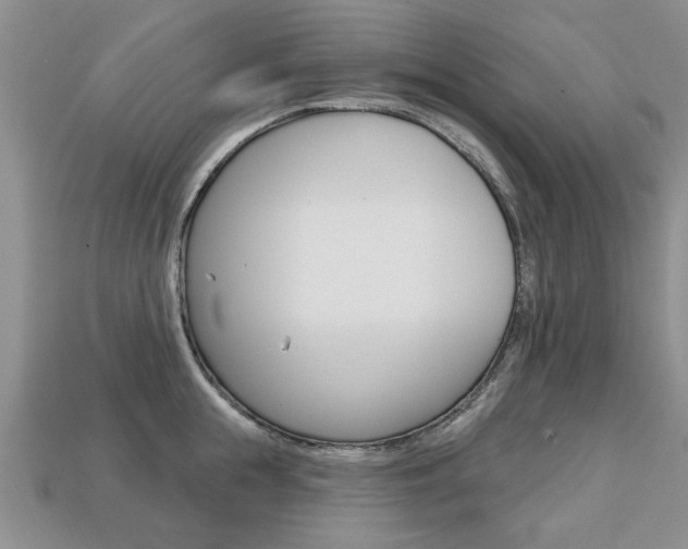 X0000113860855200909241024