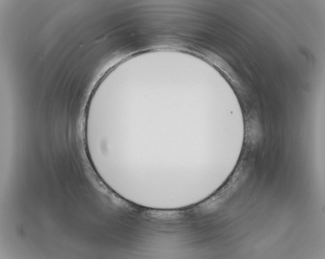 X0000113860856200909241024