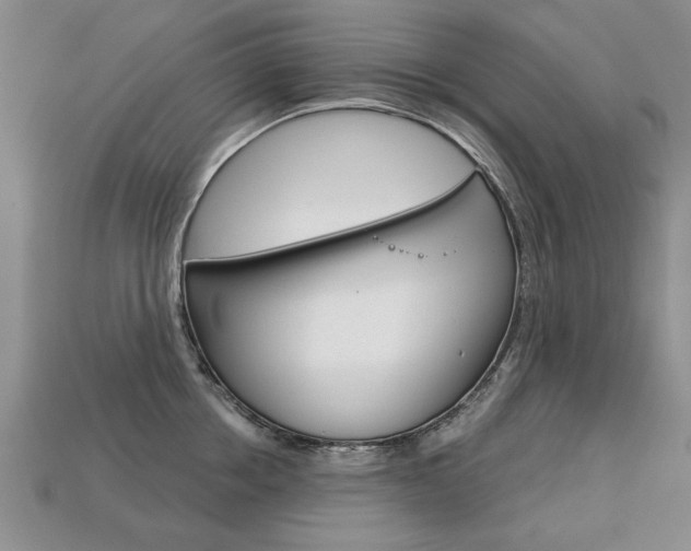 X0000113860858200909241024