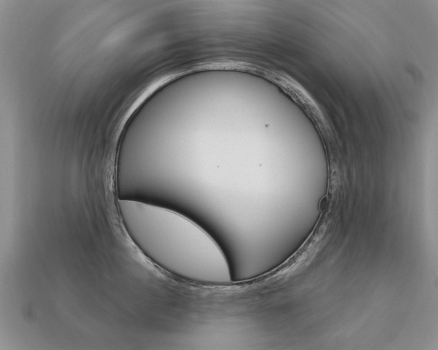 X0000113860860200909241024