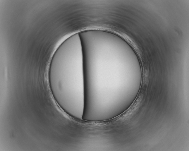 X0000113860862200909241024