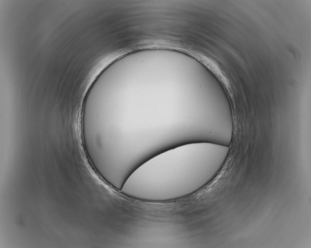 X0000113860863200909241024