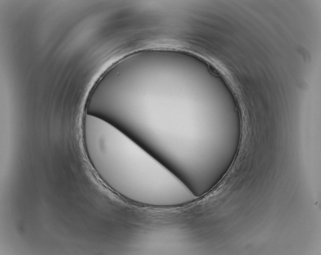 X0000113860864200909241024