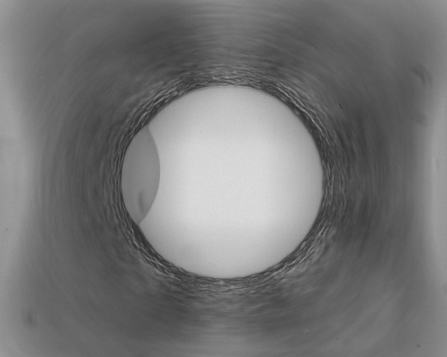 X0000113860865200909241023