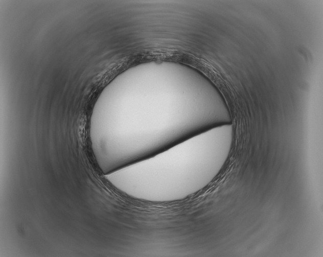 X0000113860867200909241023