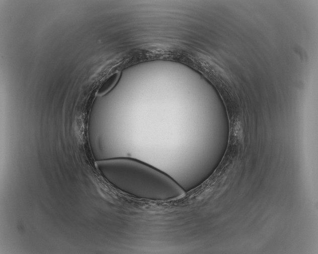X0000113860868200909241023