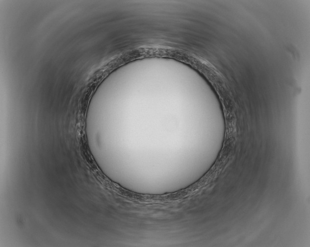 X0000113860870200909241023