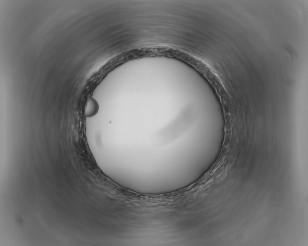 X0000113860871200909241023