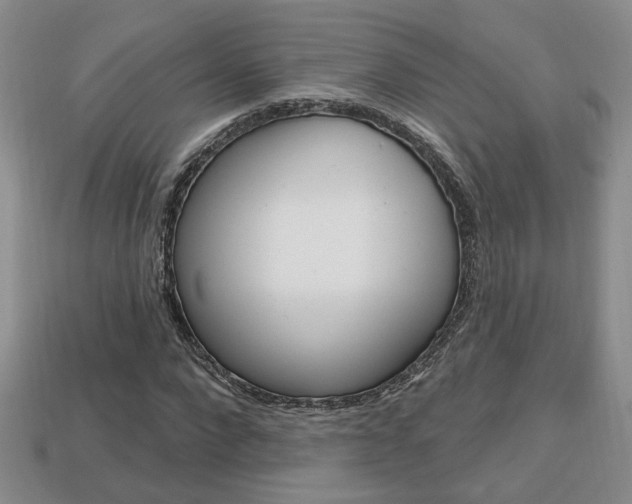 X0000113860872200909241023