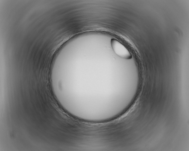 X0000113860873200909241023