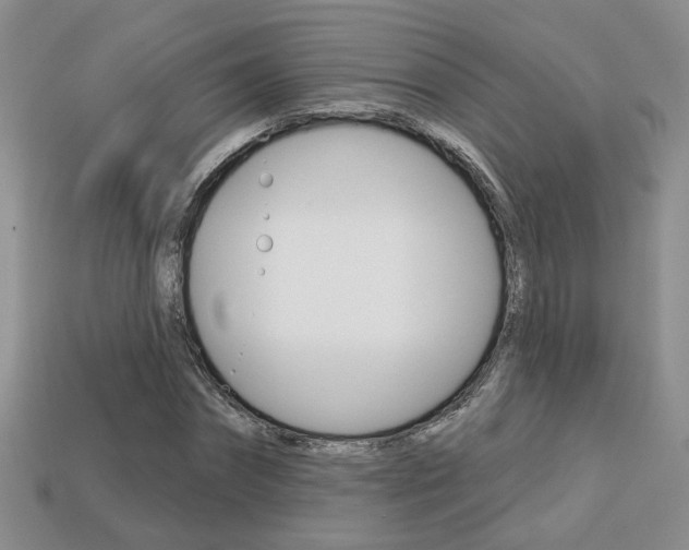X0000113860874200909241023