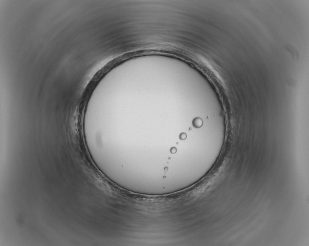 X0000113860875200909241023