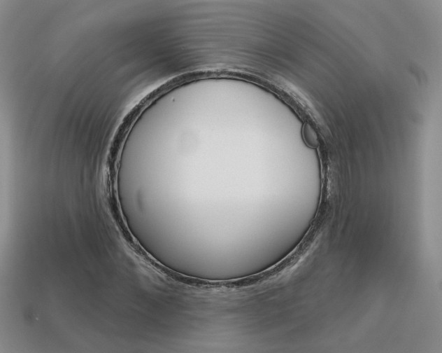 X0000113860876200909241023