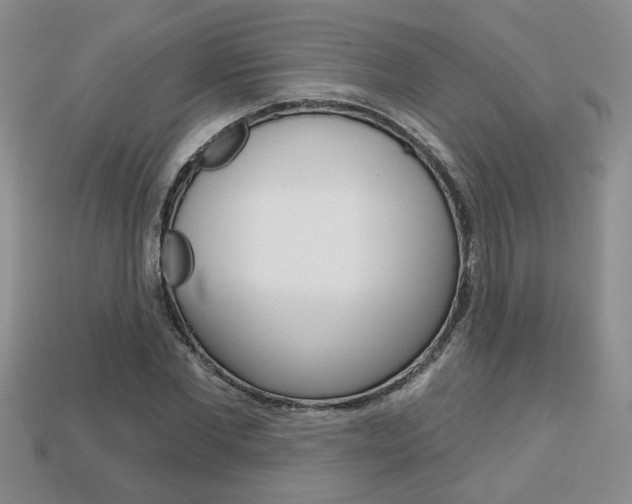 X0000113860877200909241023
