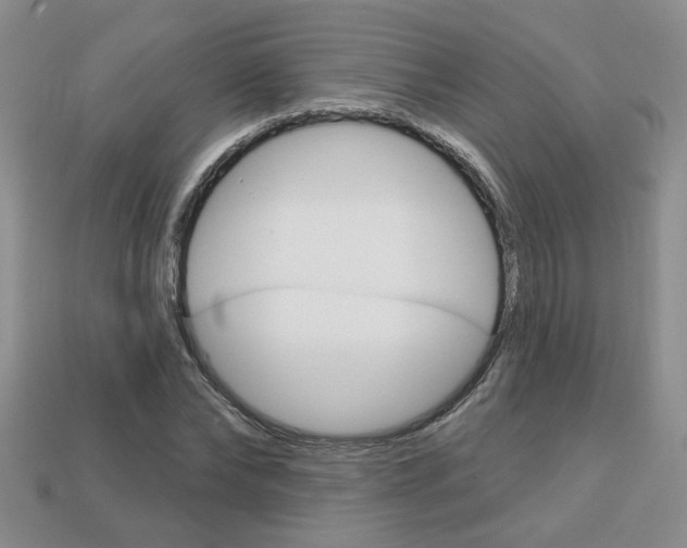 X0000113860878200909241023