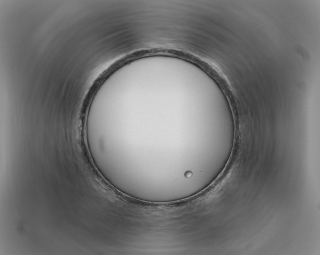 X0000113860879200909241023