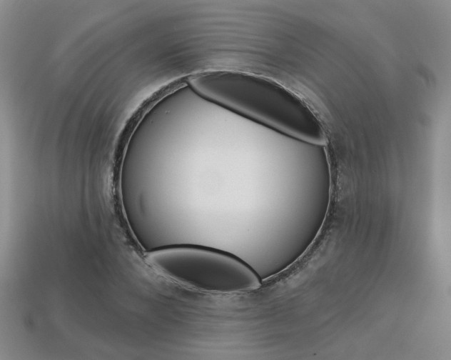 X0000113860880200909241023