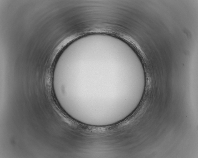 X0000113860882200909241023