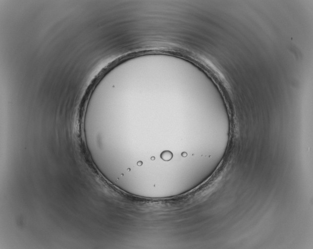X0000113860883200909241023