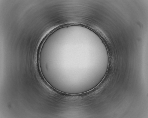 X0000113860884200909241023