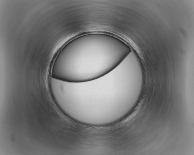 X0000113860885200909241023