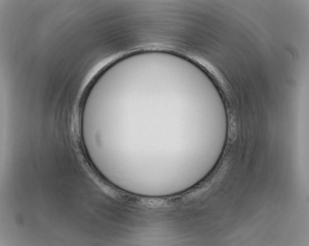 X0000113860886200909241023