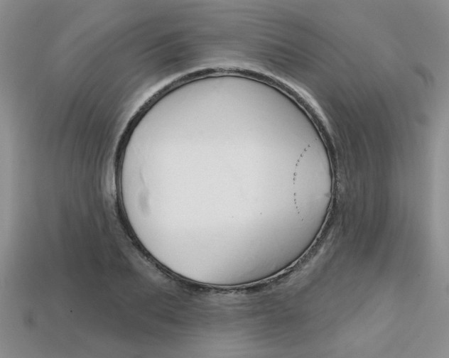 X0000113860887200909241023
