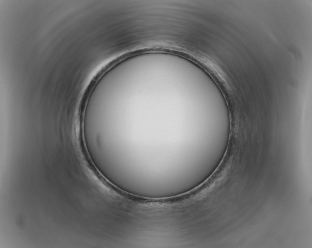 X0000113860888200909241023
