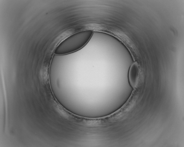 X0000113860889200909241023