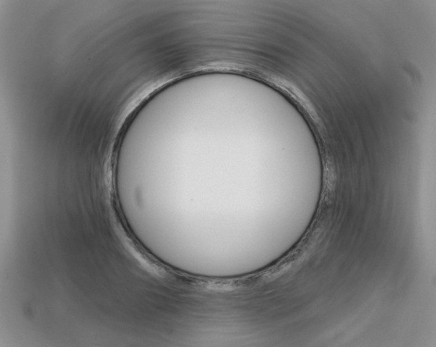 X0000113860890200909241023
