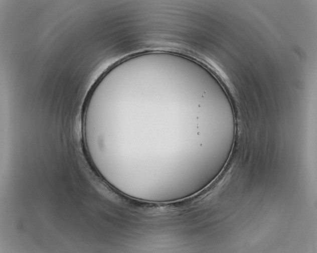 X0000113860891200909241023