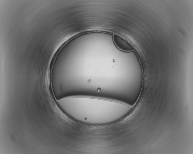 X0000113860892200909241023