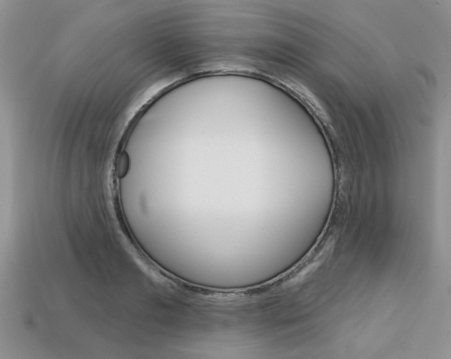 X0000113860893200909241023