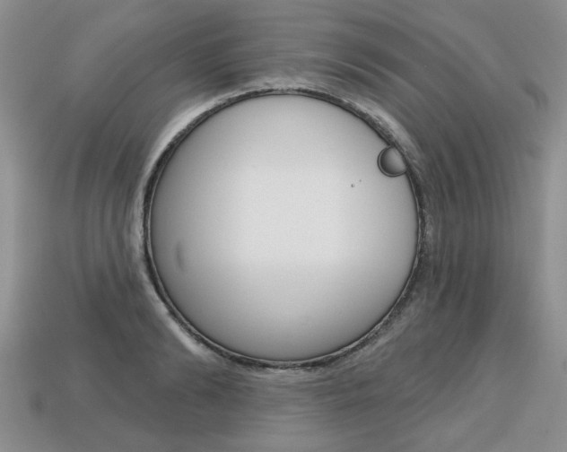 X0000113860894200909241023