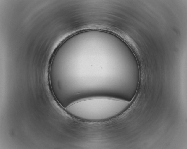 X0000113860896200909241023