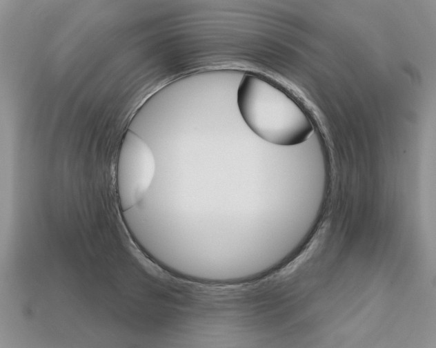 X0000113860897200909241023