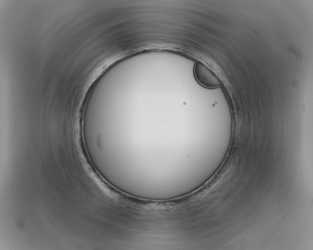 X0000113860898200909241023