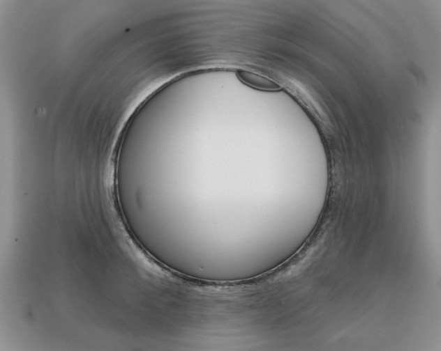 X0000113860900200909241023
