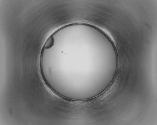 X0000113860903200909241023