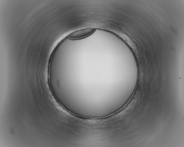 X0000113860904200909241023