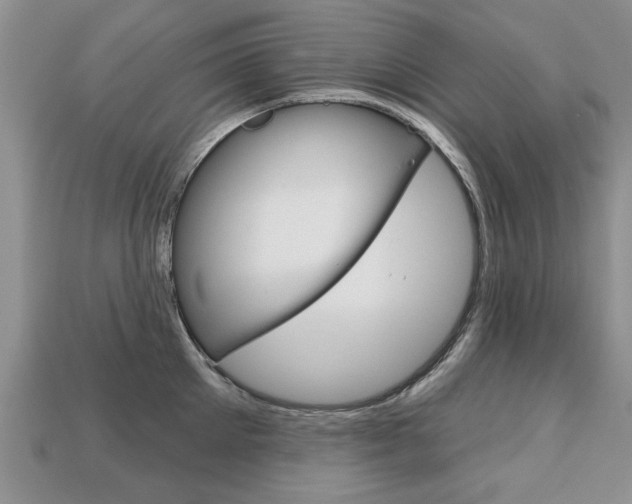 X0000113860905200909241023