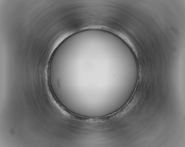 X0000113860906200909241023