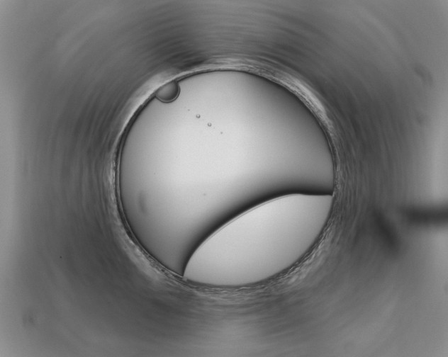 X0000113860907200909241023