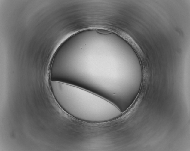 X0000113860908200909241023