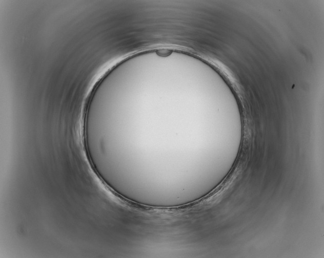 X0000113860910200909241023