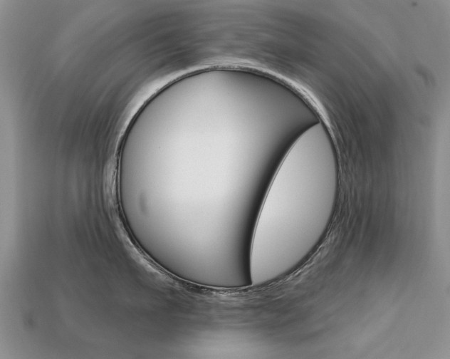 X0000113860911200909241023