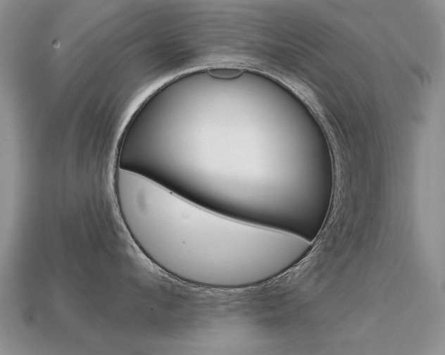 X0000113860912200909241023