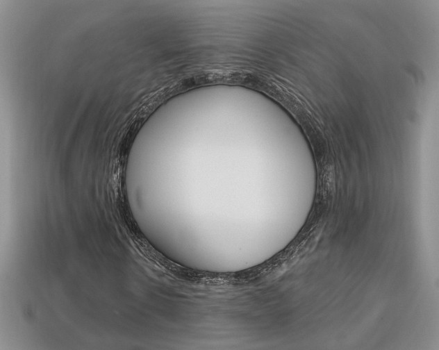X0000113860914200909241022